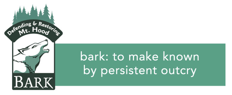 Graphic banner with Bark's wolf + forest logo on the left hand side. Text reads: bark: to make known through persistent outcry